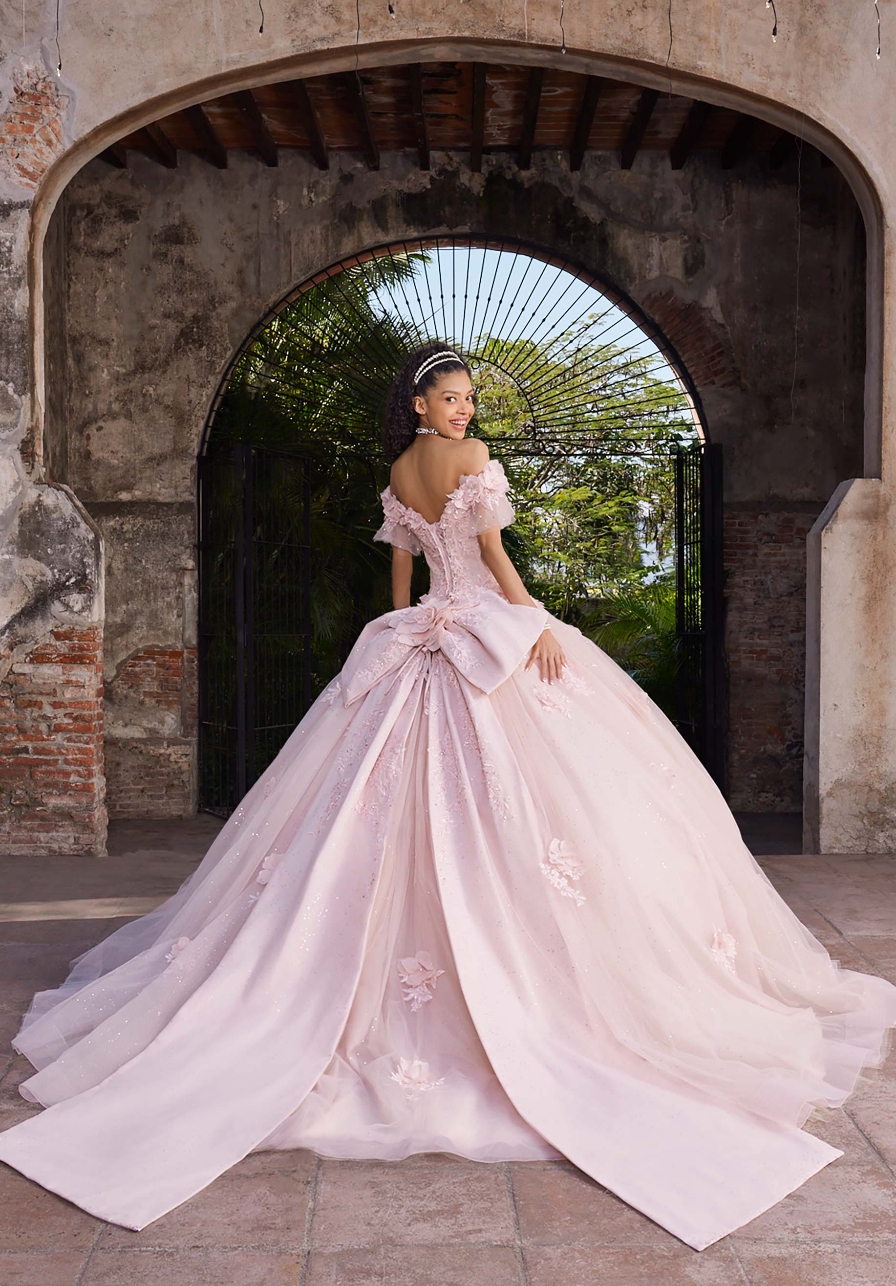 Ana Quinceañera Dress - Image 4