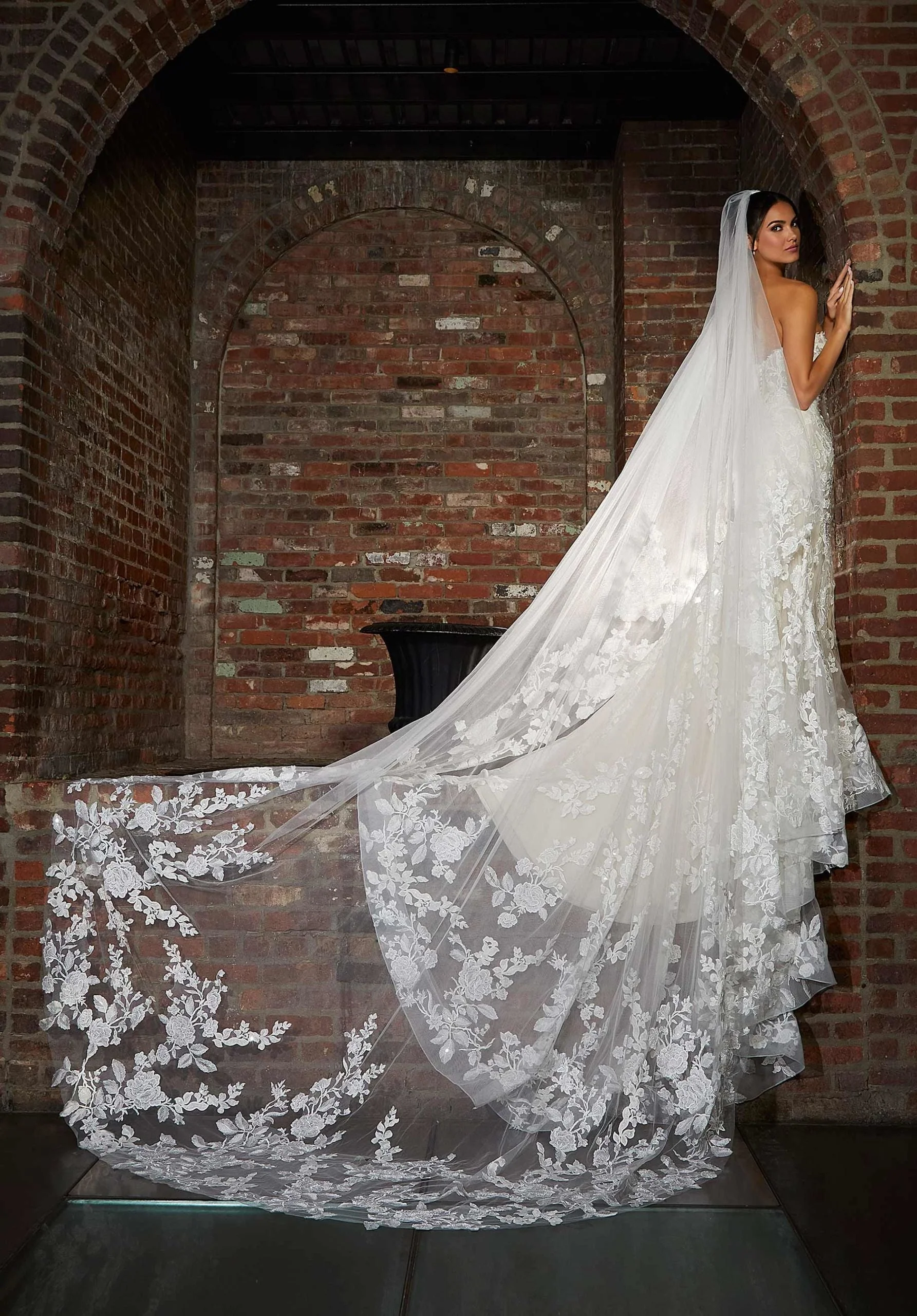 Cathedral Length Veil with Frosted Lace Appliqués - Image 2