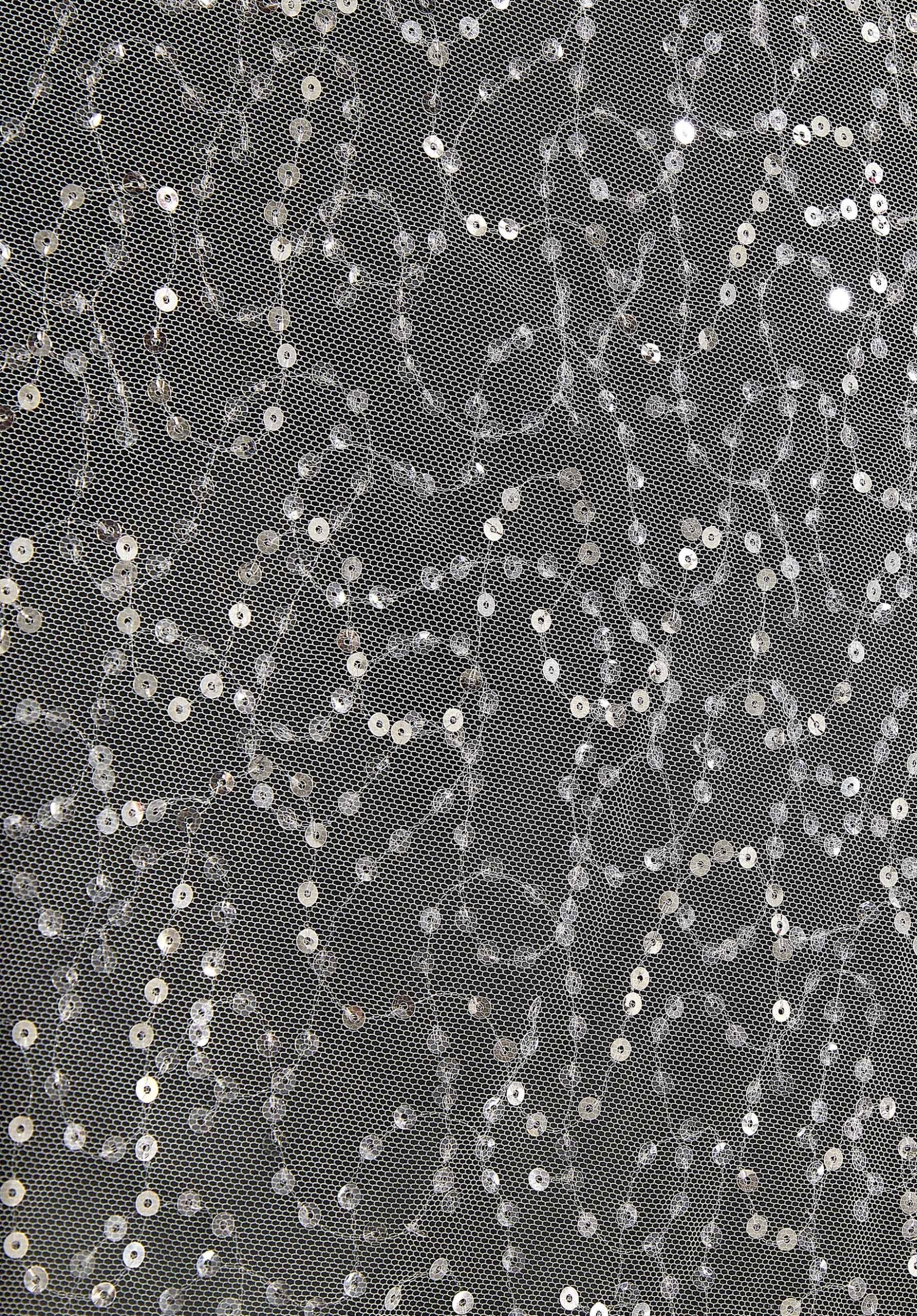 Sequined Net Underskirt - Image 3